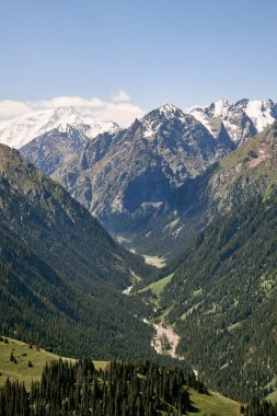 Yaz dağı manzarası, yeşil orman, yüksek dağlar ve karlı zirveler. Karakol Boğazı, Kırgızistan. 