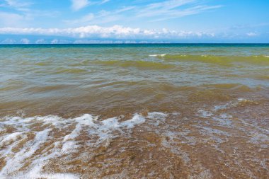 Kumlu sahil yakınlarındaki su renginin derecesi kahverengiden yeşile ve maviye. Baykal Gölü kıyısında küçük bir tarla ağacı, Olkhon adası..