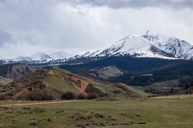 Görkemli karlı üçgen dağ ve yeşil çayır. Doğal dağ manzarası. Piramit tepesi. Kırgızistan 'da bahar doğası