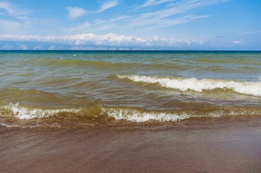 Kumlu sahil yakınlarındaki su renginin derecesi kahverengiden yeşile ve maviye. Baykal Gölü kıyısında küçük bir tarla ağacı, Olkhon adası..