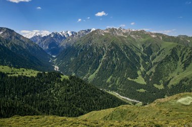 Karakol Boğazı, Yaz Doğal Arazisi. Dağ sırası, yoğun kozalaklı orman ve karla kaplı zirveler. Kırgızistan 'daki Kirgiziya Dağları' na seyahat. Manzara, doğru bakış açısı.