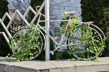 Bitkilerle kaplı eski bisiklet, kentsel alan dekorasyonu.