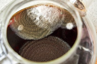 Cam bir çaydanlıkta üç farklı küf türü..