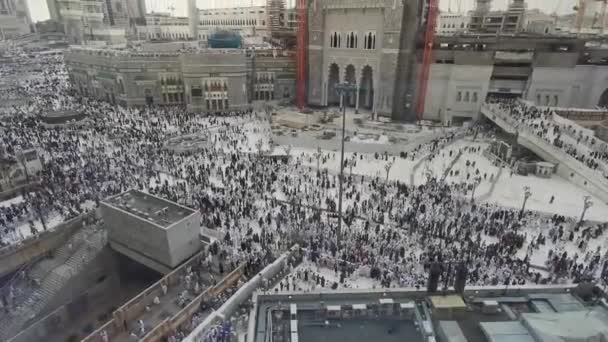 Mecca Saudi Arabia January 2023 Προβολή Πουλιών Και Φωτογραφίες Μουσουλμάνων — Αρχείο Βίντεο