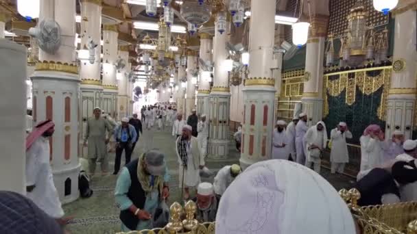 Medina Saudi Arabia Maj 2023 Muslimska Pilgrimer Besöker Och Ber — Stockvideo