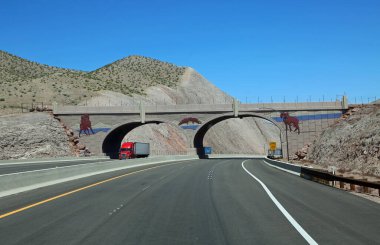 Vahşi yaşam köprüsü - ABD 95, Nevada
