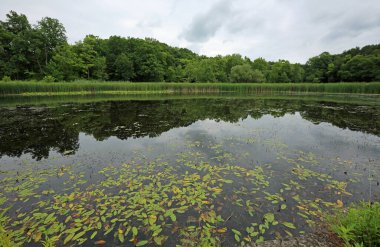 Kendall Lake ile Panorama - Cuyahoga Vadisi Ulusal Parkı, Ohio