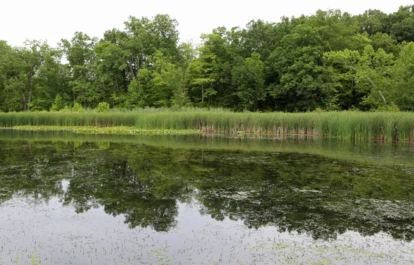 Zielona Refleksja Park Narodowy Cuyahoga Valley Ohio — Zdjęcie stockowe