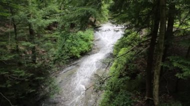 Gelin Veil Şelaleleri ile manzara - Cuyahoga Vadisi Ulusal Parkı, Ohio