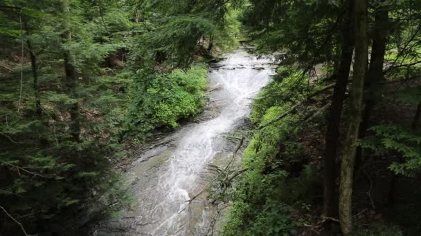 ブライダルベールの滝と風景 キューヤホガバレー国立公園 オハイオ州 — ストック動画