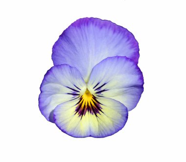 Fort Worth Botanik Bahçesi, Teksas