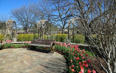 Romantik bank - Fort Worth Botanik Bahçesi, Teksas