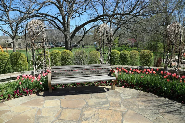 Bänk Och Tulpaner Fort Worth Botanic Garden Texas — Stockfoto