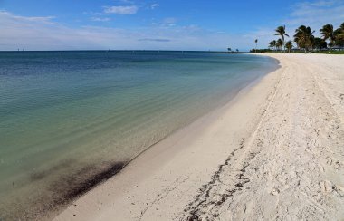 Yürüyen Sombrero Plajı - Florida Keys