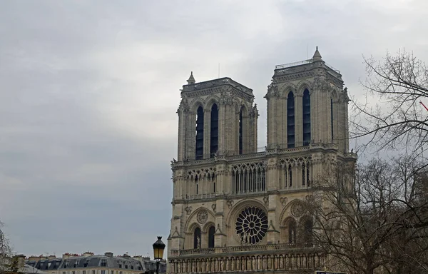 Notre Dame Towers Trees Paris France — Stock Photo, Image