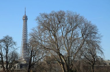 Kule ve ağaç - Eyfel Kulesi (Eiffel), Paris, Fransa