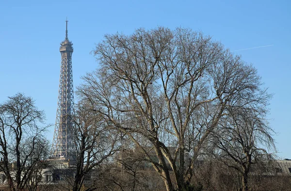 Der Turm Und Der Baum Eiffelturm Tour Eiffel Paris Frankreich — Stockfoto