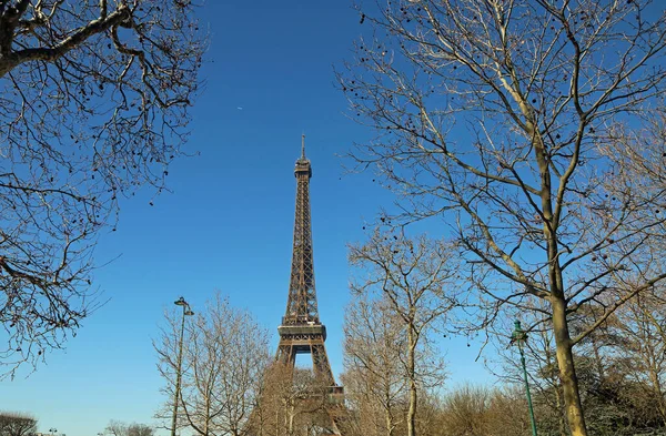 带有埃菲尔铁塔和树木的景观 环游埃菲尔铁塔 法国巴黎 — 图库照片
