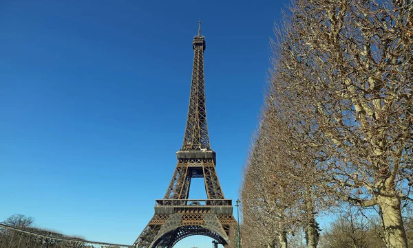 Der Turm Und Die Baumreihe Eiffelturm Tour Eiffel Paris Frankreich — Stockfoto