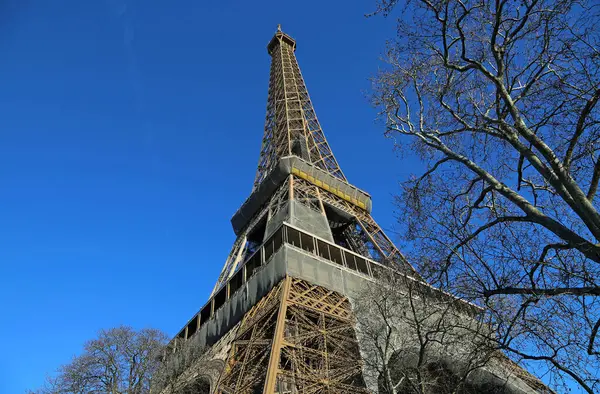 Ейфелева Вежа Дерева Чистому Небі Tour Eiffel Париж Франція — стокове фото
