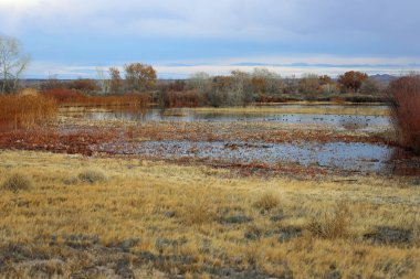 Ziyaretçi merkezinden manzara - Bosque del Apache Ulusal Vahşi Yaşam Sığınağı, New Mexico