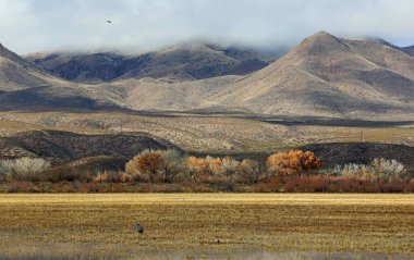 Chupadera Dağları 'nın tepeleri - Bosque del Apache Ulusal Vahşi Yaşam Sığınağı, New Mexico