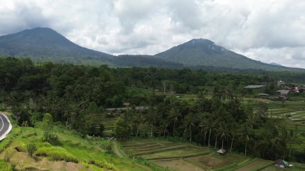 Dois Picos Terraços Arroz Jatiluwih Rice Terraces Bali Indonésia — Vídeo de Stock