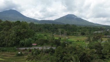 Jatiluwih Panorama - Jatiluwih Rice Terraces, Bali, Endonezya