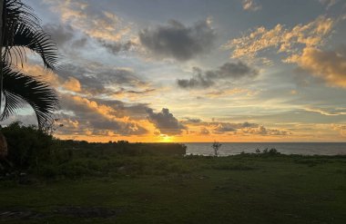 Palmiye yaprağıyla gün batımı - Bali, Endonezya