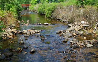 Pine Grove Fırını Eyalet Parkı, Pennsylvania
