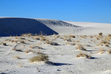 Kum tepeciklerindeki izler - Beyaz Kumlar Ulusal Parkı, New Mexico