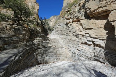 Sahne Şeytanın Salonu - Guadalupe Dağları Ulusal Parkı, Teksas