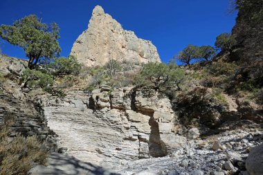 Devil 's Hall manzarası - Guadalupe Dağları Ulusal Parkı, Teksas