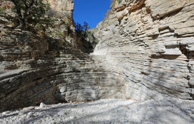 Devil 's Hall - Guadalupe Dağları Ulusal Parkı, Teksas