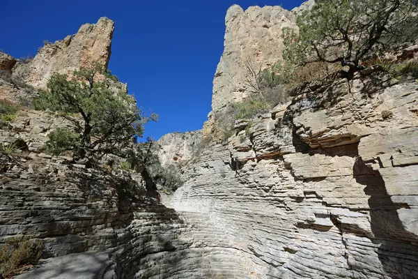 Guadalupe Dağları Ulusal Parkı, Teksas