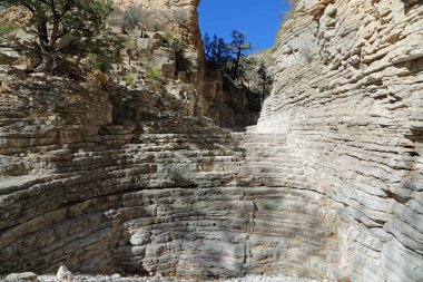 Şeytanlar Salonlu Kanyon - Guadalupe Dağları Ulusal Parkı, Teksas