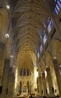 St. Patrick 'in içinde dikey New York City, Manhattan