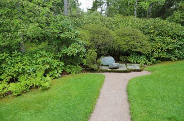 Green landscape of Asticou Azalea Garden, Maine clipart