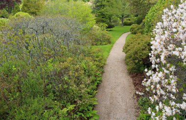 Asticou Azalea Bahçesi yolu, Maine