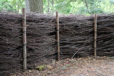 Doğal çitler - Asticou Azalea Garden, Maine