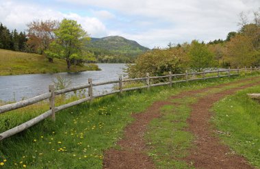 Bahar manzarası - Küçük Uzun Göl - Acadia Ulusal Parkı, Maine