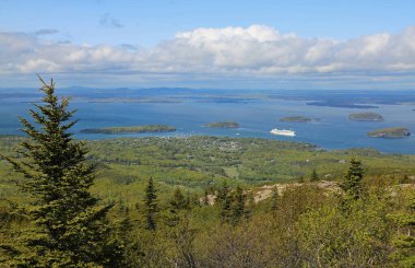 Ağaç ve panorama - Cadillac Dağı, Acadia Ulusal Parkı, Maine