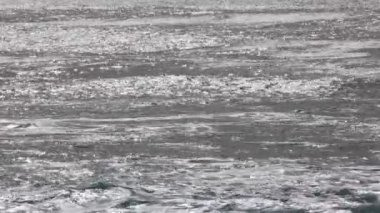 Gümüş Su - Pasifik Okyanusu, Monterey Körfezi, Kaliforniya