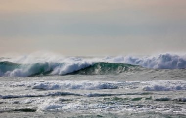 Monterey Körfezi 'ndeki dalgalar - Monterey Körfezi' ndeki Pasifik Okyanusu, Kaliforniya 