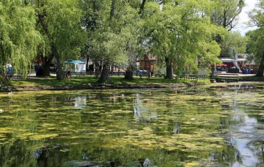 Toronto Adaları, Ontario, Kanada 'daki Duck Pond