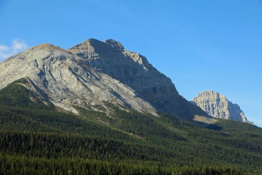 Ormanın üzerindeki Katedral Düzeni - Yoho Ulusal Parkı, British Columbia, Kanada