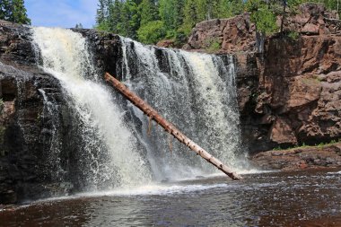 Bektaşi üzümlü Lower Falls ve sapı Minnesota