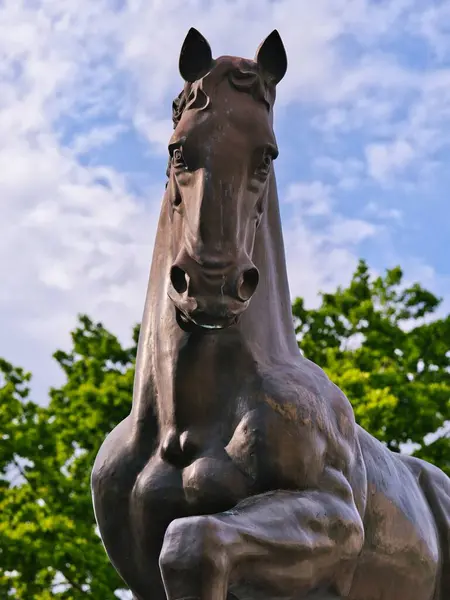 Statua Bronzo Cavallo All Aperto Con Uno Sfondo Albero Verde — Foto Stock