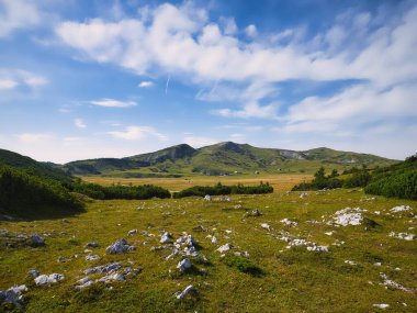 Avusturya 'da yaz mevsiminde Schnee Alplerinde güzel doğa ve tepeler