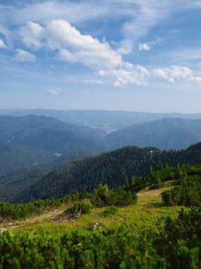 Avusturya 'da yaz mevsiminde Schnee Alplerinde güzel doğa ve tepeler